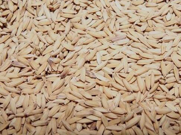 Rice Husk Charcoal Making Machine | Rice Hull Carbonizer for Sale